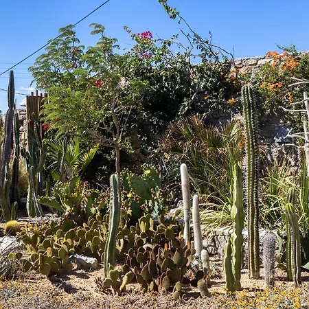 Mykonian Ode With Stunning Sunrise & Sunset Views 别墅