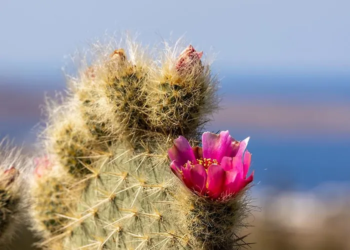 빌라 Mykonian Ode With Stunning Sunrise & Sunset Views *